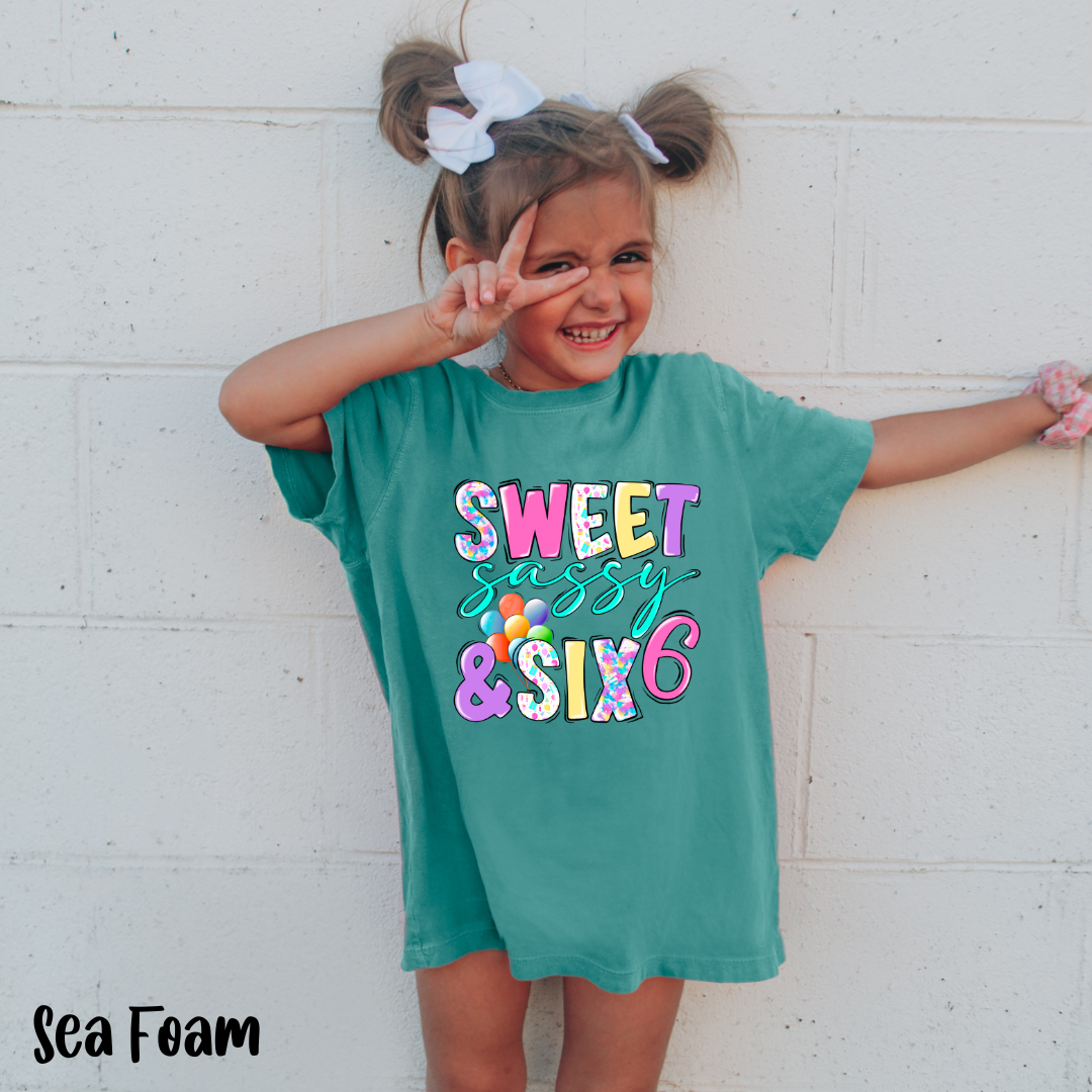 Sweet Sassy and Six Girl's Birthday Shirt, My 6th Birthday Girl Shirt, I'm 6 Tee
