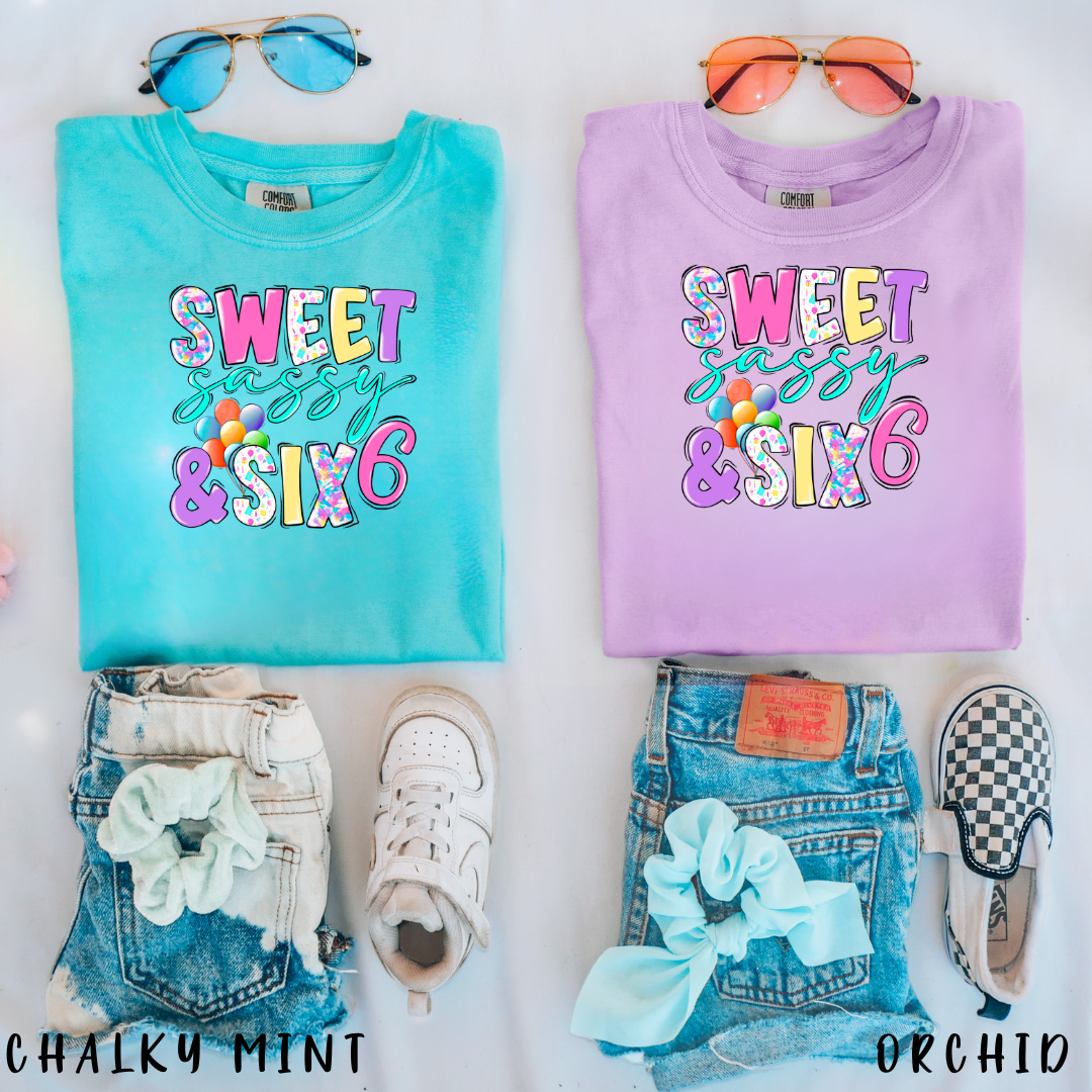 Sweet Sassy and Six Girl's Birthday Shirt, My 6th Birthday Girl Shirt, I'm 6 Tee