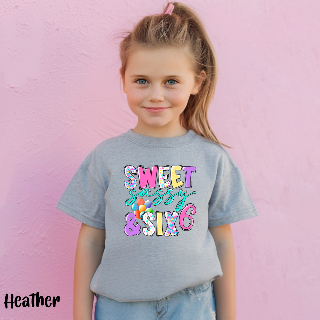 Sweet Sassy and Six Girl's Birthday Shirt, My 6th Birthday Girl Shirt, I'm 6 Tee